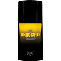 Knockout von Everlast