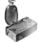 Sketch (1924) von Violet