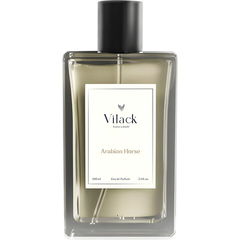 Arabian Horse von Vilack