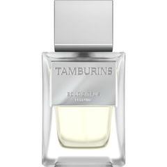 Bold Citrus von Tamburins