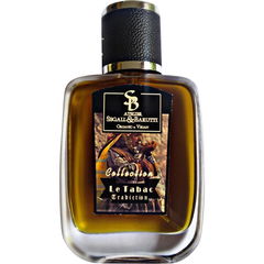 Le Tabac Tradiction by Atelier Segall & Barutti