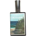 Beach Grass (Eau de Parfum) by Scents by MOST