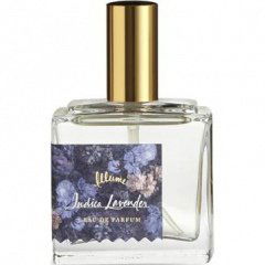 Indica Lavender by Illume