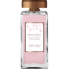 Rosa Rose by Gandini