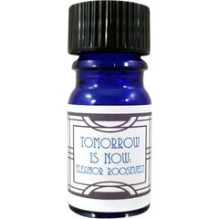 Tomorrow is Now / Tomorrow is Now: Eleanor Roosevelt by Nui Cobalt Designs