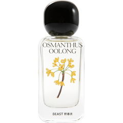 Osmanthus Oolong / 桂花乌龙 by Beast / 野兽派