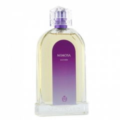 Mimosa von Molinard