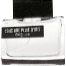 Sous une Pluie d'Iris von Pierre Guillaume