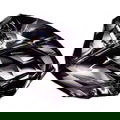 Deseo for Men von Jennifer Lopez