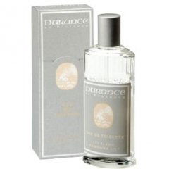 Lys Blanc / Madonna Lily by Durance en Provence Lys Blanc / Madonna Lily by Durance en Provence