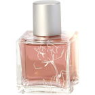 Açai Rain by Infusion Organique