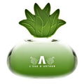 L'Eau d'Arthur von Koto Parfums