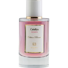 Cataliya (Eau de Parfum) von Maïssa