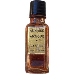 Narcisse Antique by La Grisi