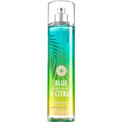 Blue Waves & Citrus by Bath & Body Works
