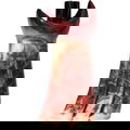 Djélem