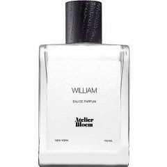 William by Atelier Bloem