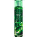 Vanilla Bean Noel by Bath & Body Works
