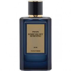 Olfactories - Some Velvet Morning by Prada