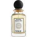 Beaming Buenos Aires von Viage