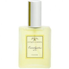 Antique Garden - Eucalyptus Mist by California Fleurish