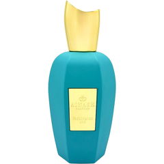 Washington Ave von Ainash Parfums