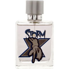 X-Men - Storm von Marmol & Son
