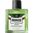 Lozione Dopobarba (green) von Proraso