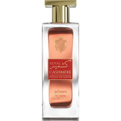 Royal Cashmere von Adyan