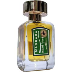 Madraga Nard Vert by Atelier Segall & Barutti