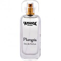 Plumeria by L'Amande