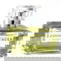 Scent 1 von Cognoscenti
