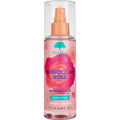 Moroccan Rose by Tree Hut