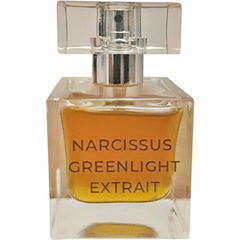 Narcissus Greenlight von Phoenicia