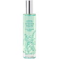 Signature Collection - Rain (Cologne Mist) by Terranova