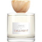 Tokyo by Gallivant