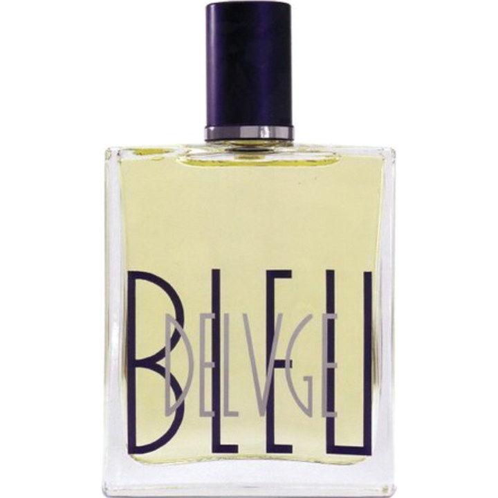 B&B ENRICO GI BLEU DELVGE オードトワレ 100ml B&B ENRICO GI BLEU DELVGE オードトワレ 100ml - メルカリ