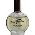 Tina Farina Vibration - Zwillinge von Johann Maria Farina gegenüber dem Jülichs-Platz