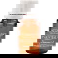 Essential Oil - Spearmint von Attirance