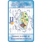 Daydream (Aftershave) von Summer Break Soaps