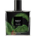 Balinese Coconut (Eau de Parfum) by Nest