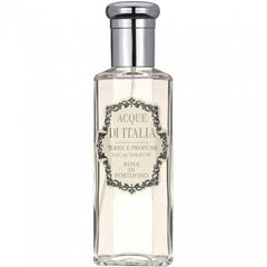 Rosa di Portofino / Portofino Rose von Acque di Italia