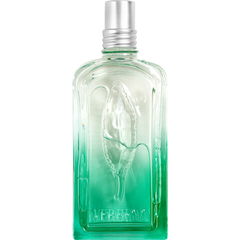 Verveine Fleur de Carotte von L'Occitane en Provence