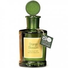 Orange Blossom von Monotheme
