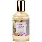 Narcissus Tuberose von Mistral