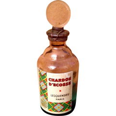 Chardon d'Ecosse von Lesquendieu