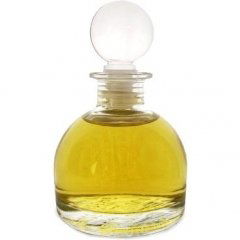 Turtle Vetiver Front by LesNez