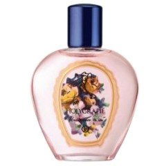 Holygrapie by Comme des Garçons