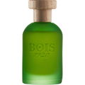 Cannabis von Bois 1920