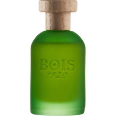 Cannabis von Bois 1920